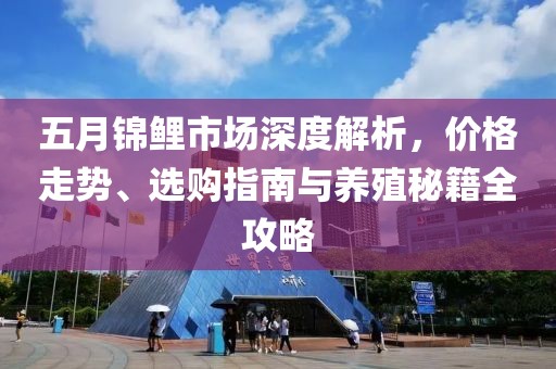 五月锦鲤市场深度解析，价格走势、选购指南与养殖秘籍全攻略