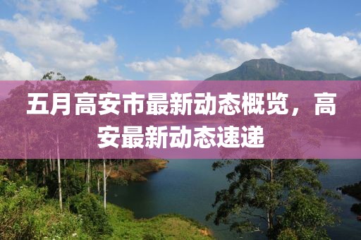 五月高安市最新动态概览，高安最新动态速递