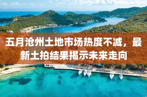 五月沧州土地市场热度不减，最新土拍结果揭示未来走向
