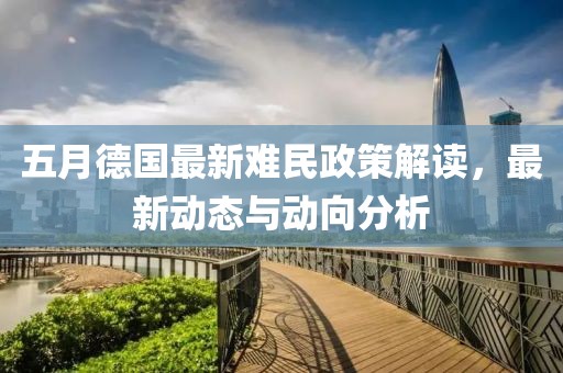 五月德国最新难民政策解读，最新动态与动向分析