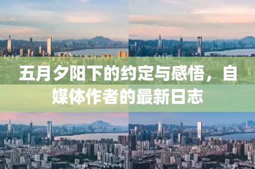 五月夕阳下的约定与感悟，自媒体作者的最新日志