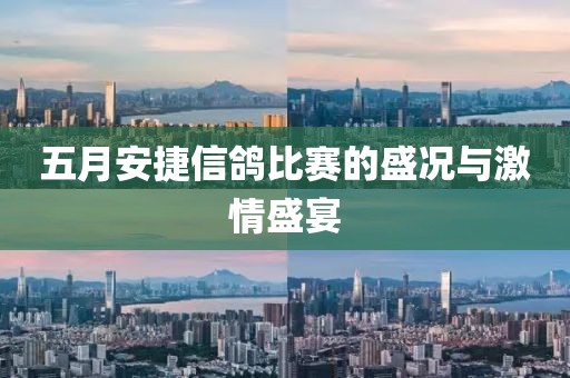 五月安捷信鸽比赛的盛况与激情盛宴