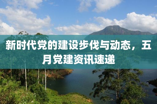 新时代党的建设步伐与动态，五月党建资讯速递