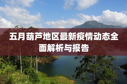 五月葫芦地区最新疫情动态全面解析与报告