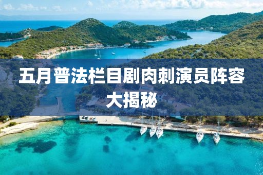 五月普法栏目剧肉刺演员阵容大揭秘