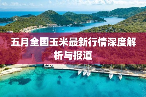 五月全国玉米最新行情深度解析与报道