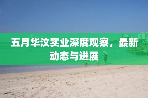 五月华汶实业深度观察，最新动态与进展