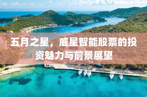 五月之星，威星智能股票的投资魅力与前景展望