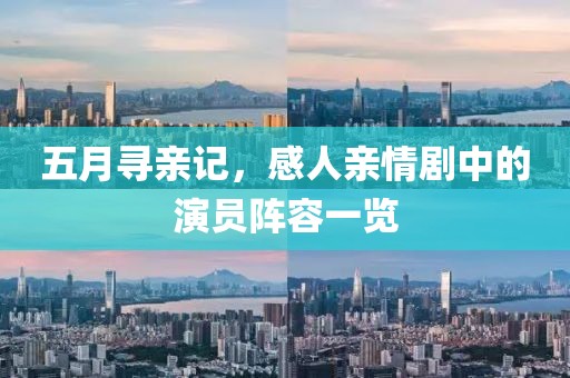 五月寻亲记，感人亲情剧中的演员阵容一览