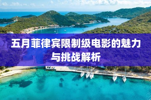 五月菲律宾限制级电影的魅力与挑战解析