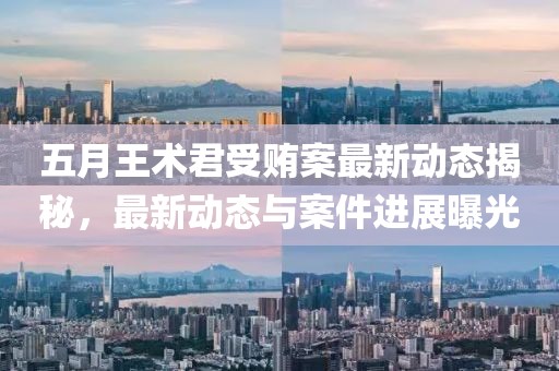 五月王术君受贿案最新动态揭秘，最新动态与案件进展曝光