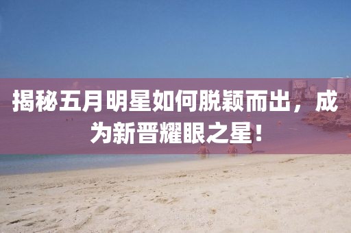 揭秘五月明星如何脱颖而出，成为新晋耀眼之星！