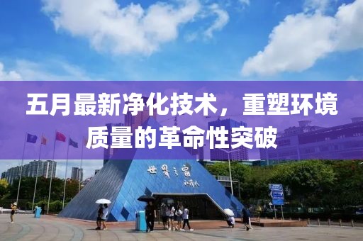 五月最新净化技术，重塑环境质量的革命性突破