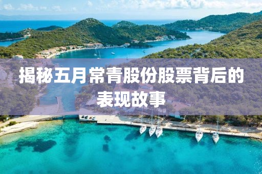 揭秘五月常青股份股票背后的表现故事