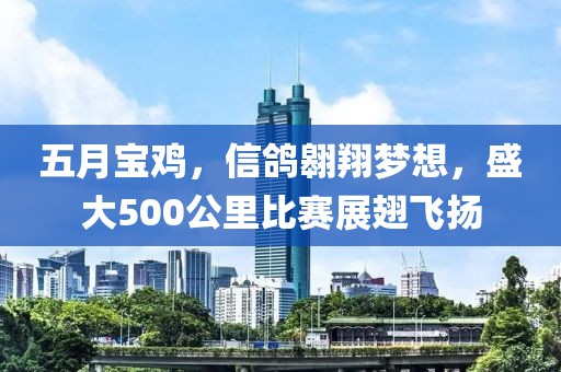 五月宝鸡，信鸽翱翔梦想，盛大500公里比赛展翅飞扬