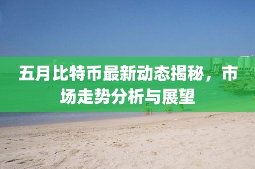 五月比特币最新动态揭秘，市场走势分析与展望