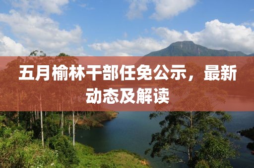 五月榆林干部任免公示，最新动态及解读