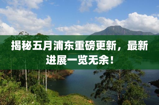 揭秘五月浦东重磅更新，最新进展一览无余！