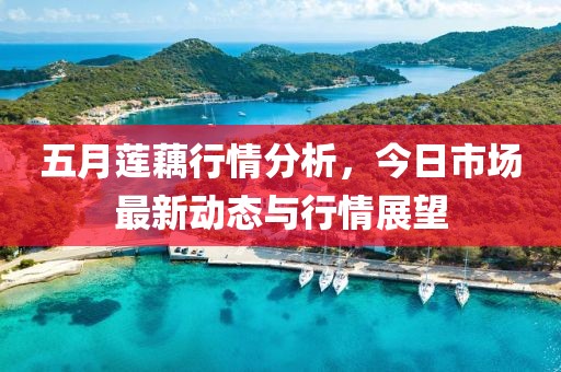 五月莲藕行情分析，今日市场最新动态与行情展望