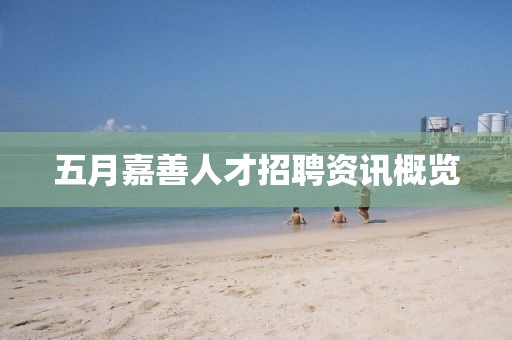 五月嘉善人才招聘资讯概览