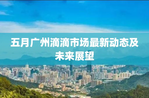 五月广州滴滴市场最新动态及未来展望