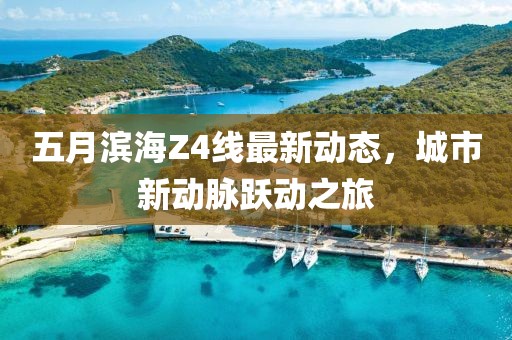 五月滨海Z4线最新动态，城市新动脉跃动之旅