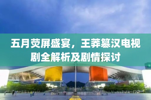 五月荧屏盛宴，王莽篡汉电视剧全解析及剧情探讨