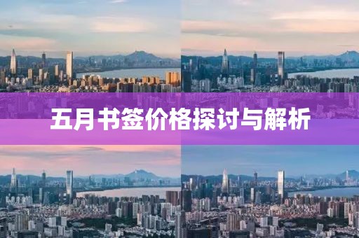 五月书签价格探讨与解析
