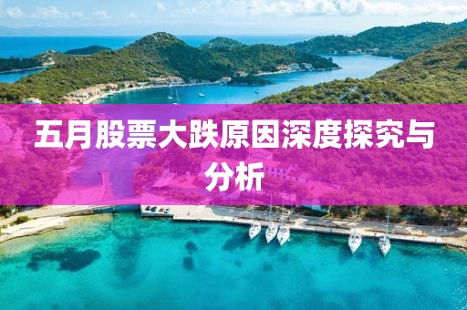 五月股票大跌原因深度探究与分析