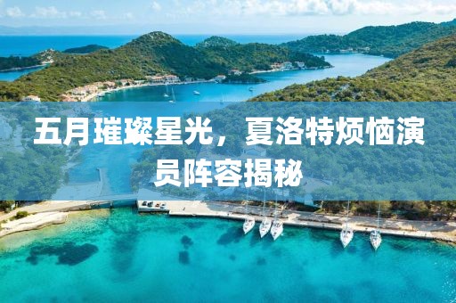 五月璀璨星光，夏洛特烦恼演员阵容揭秘