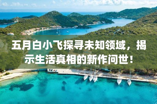 五月白小飞探寻未知领域，揭示生活真相的新作问世！