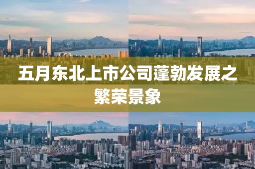 五月东北上市公司蓬勃发展之繁荣景象