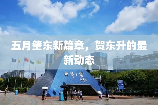 五月肇东新篇章，贺东升的最新动态