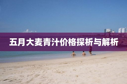 五月大麦青汁价格探析与解析