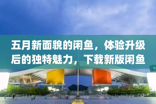 五月新面貌的闲鱼，体验升级后的独特魅力，下载新版闲鱼
