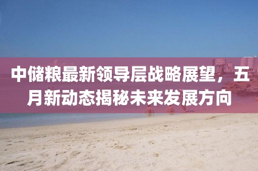 中储粮最新领导层战略展望，五月新动态揭秘未来发展方向