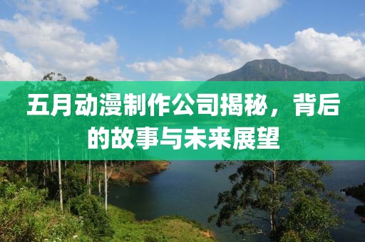 五月动漫制作公司揭秘，背后的故事与未来展望