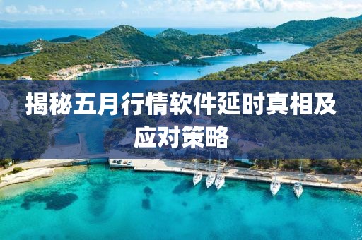 揭秘五月行情软件延时真相及应对策略