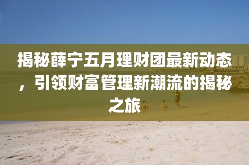 揭秘薛宁五月理财团最新动态，引领财富管理新潮流的揭秘之旅