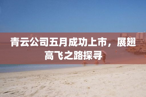 青云公司五月成功上市，展翅高飞之路探寻