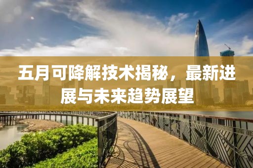 五月可降解技术揭秘，最新进展与未来趋势展望