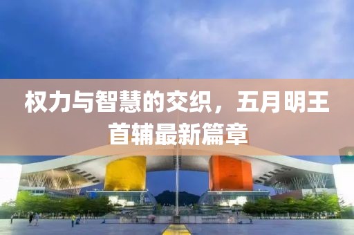 权力与智慧的交织，五月明王首辅最新篇章