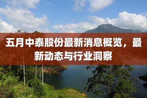五月中泰股份最新消息概览，最新动态与行业洞察
