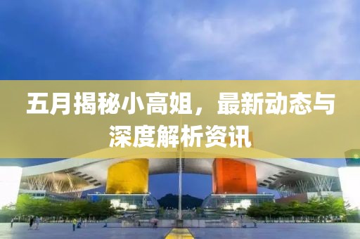 五月揭秘小高姐，最新动态与深度解析资讯