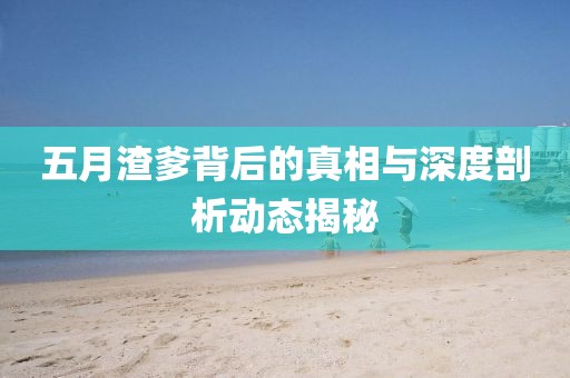 五月渣爹背后的真相与深度剖析动态揭秘