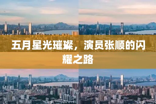 五月星光璀璨，演员张顺的闪耀之路