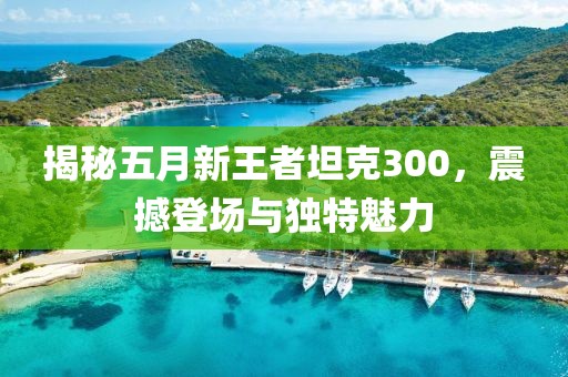 揭秘五月新王者坦克300，震撼登场与独特魅力