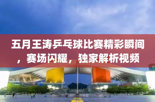 五月王涛乒乓球比赛精彩瞬间，赛场闪耀，独家解析视频
