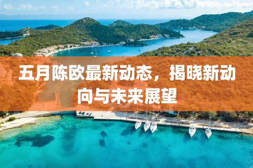 五月陈欧最新动态，揭晓新动向与未来展望