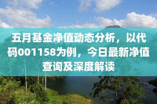 五月基金净值动态分析，以代码001158为例，今日最新净值查询及深度解读
